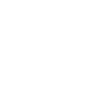 Background decoration for verification features